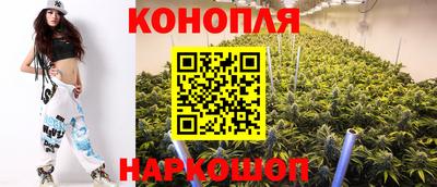 индика Волжский