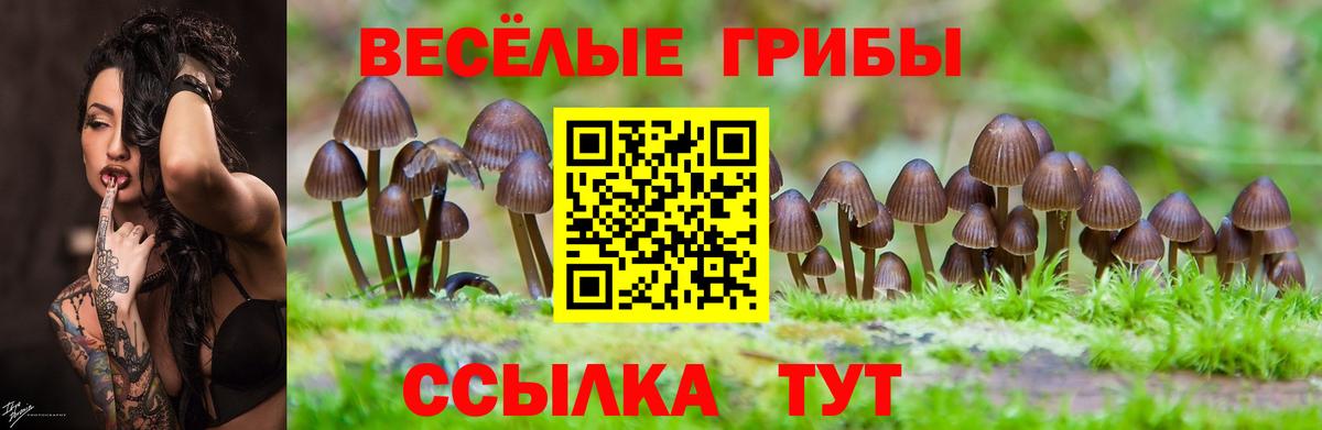 Галлюциногенные грибы Magic Shrooms Мариинск