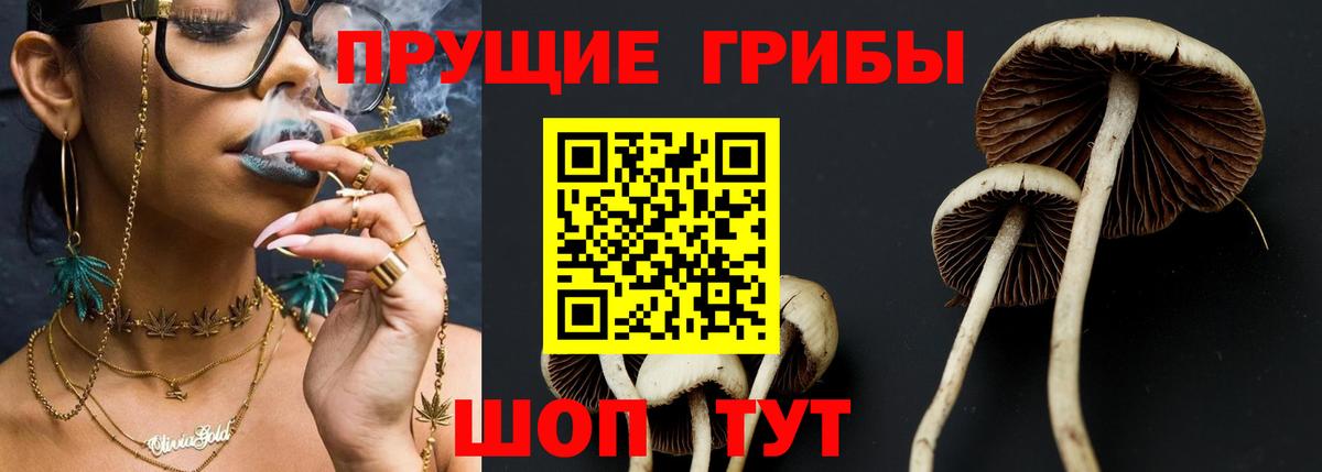 Мариинск  Галлюциногенные грибы прущие грибы  Вход с VPN 